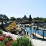 view of the Victoria Inner Harbor pedestrian pathway with the legislature buildings in the distance and a colorful flower bed in the foreground