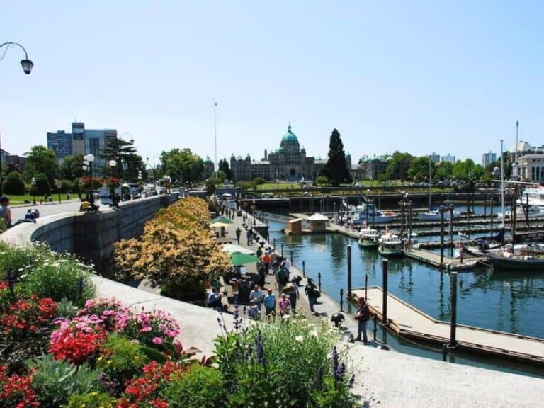 view of the Victoria Inner Harbor pedestrian pathway with the legislature buildings in the distance and a colorful flower bed in the foreground
